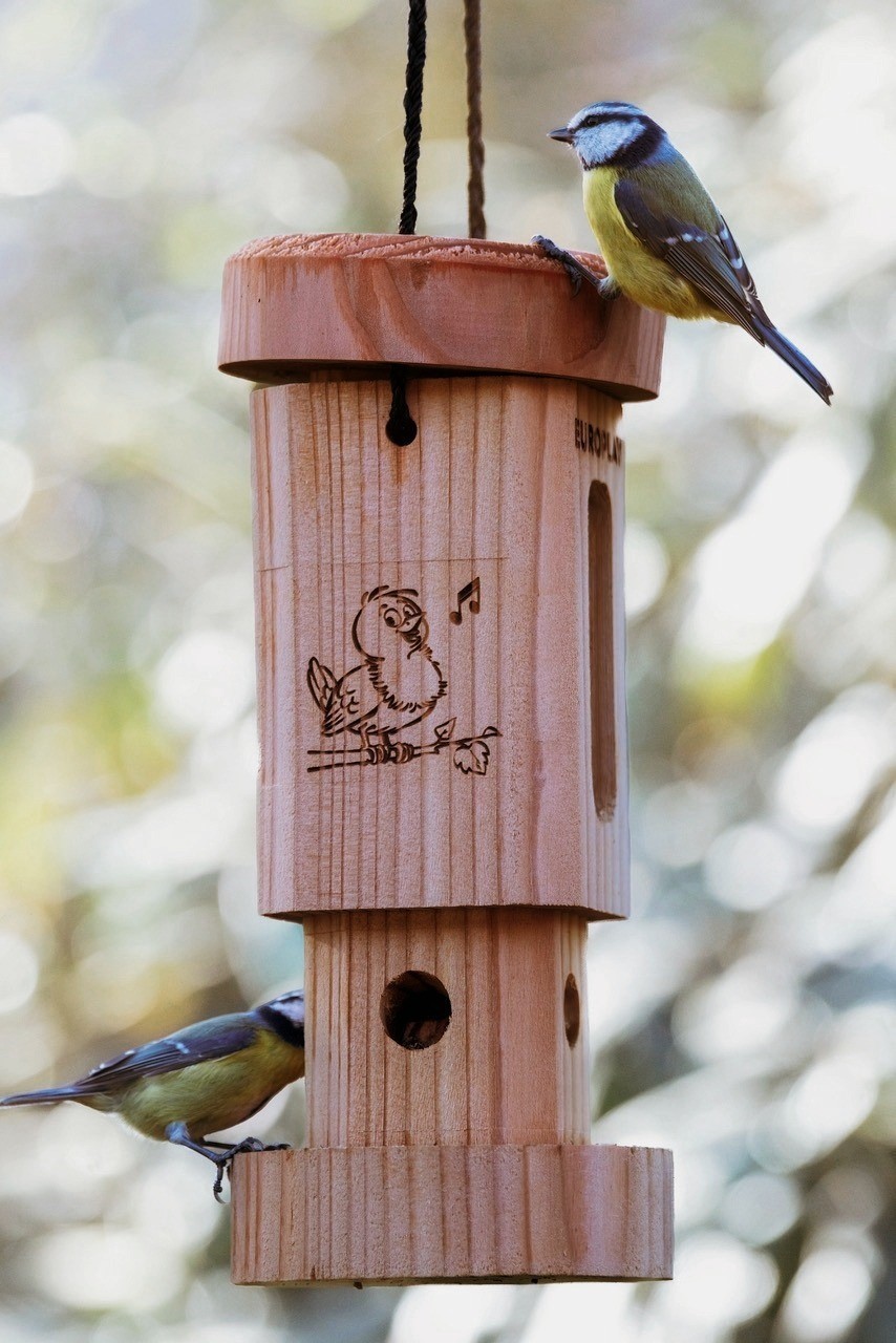Vogelvoederhuisje voor zaden