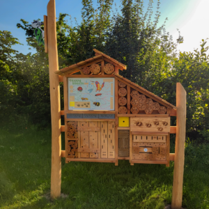 Insectenstation Mini met specht en hagedis
